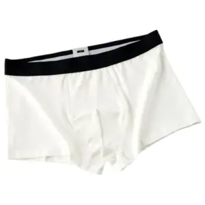 Basic Cotton Brief