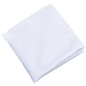 Plain White Handkerchief